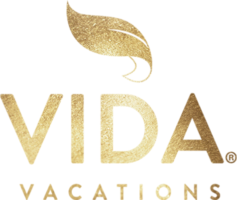 vida-logo